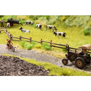 Noch 60773 - Vegetations-Startset Am Wegesrand