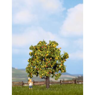 Noch 21560 - Apfelbaum mit Früchten