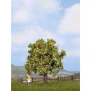 Noch 21560 - Apfelbaum mit Fr&uuml;chten (H0,TT,N) 7,5 cm...