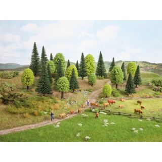 Noch Spur N,Z 32811 - Mischwald