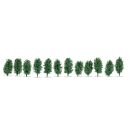 Noch 21547 - Thuja-Hecke