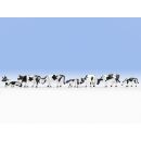 Noch Spur N 36721 - Kühe schwarz-weiß