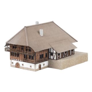 Faller Spur Z 282784: Jubiläumsmodell Schwarzwaldhof