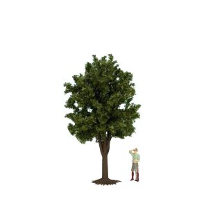 Noch Spur 0,G 68020 - Obstbaum