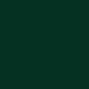 Vallejo 776519: Wash-Color, Olivgrün, 35 ml
