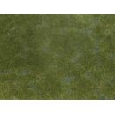 Noch 07252 - Bodendecker-Foliage dunkelgrün