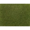 Noch 8364 - Streugras