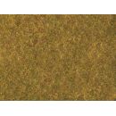 Noch 07290 - Wiesen-Foliage