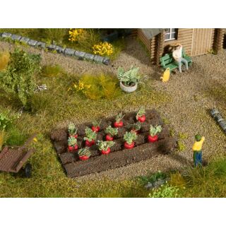 Noch H0 13221 - Rote Beete